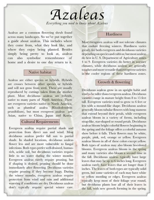 A page of text with the word azaleas on it