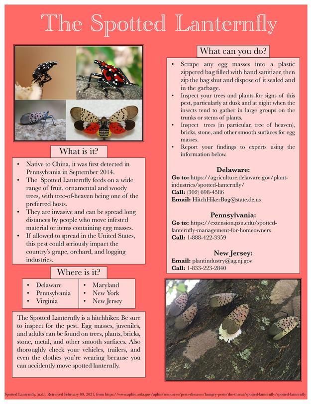 A poster that says the spotted lanternfly on it
