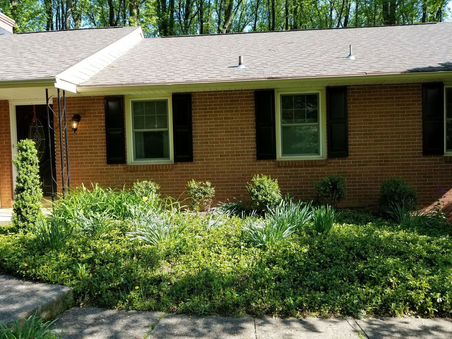 A brick house with black shutters and a lush green lawn in front of it.