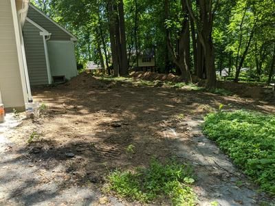 A dirt road leading to a house in the woods.