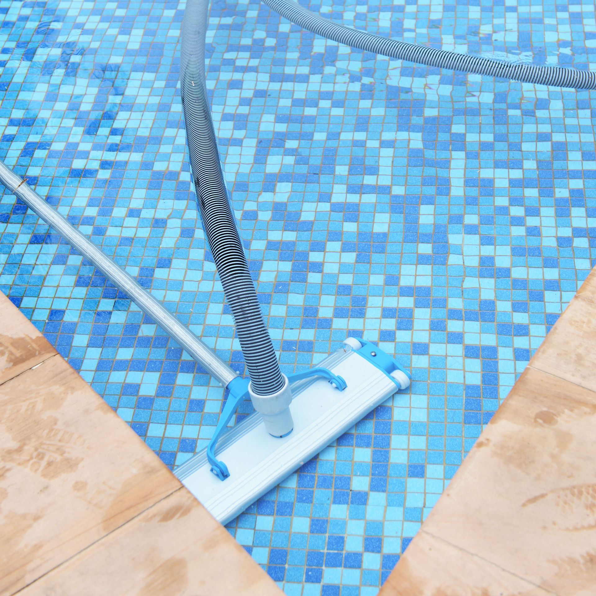 Pool vacuum cleaning a blue tiled pool.