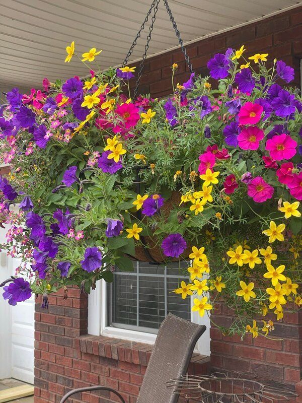 Hanging basket overflowing with vibrant purple, yellow, and pink flowers in front of a brick building.