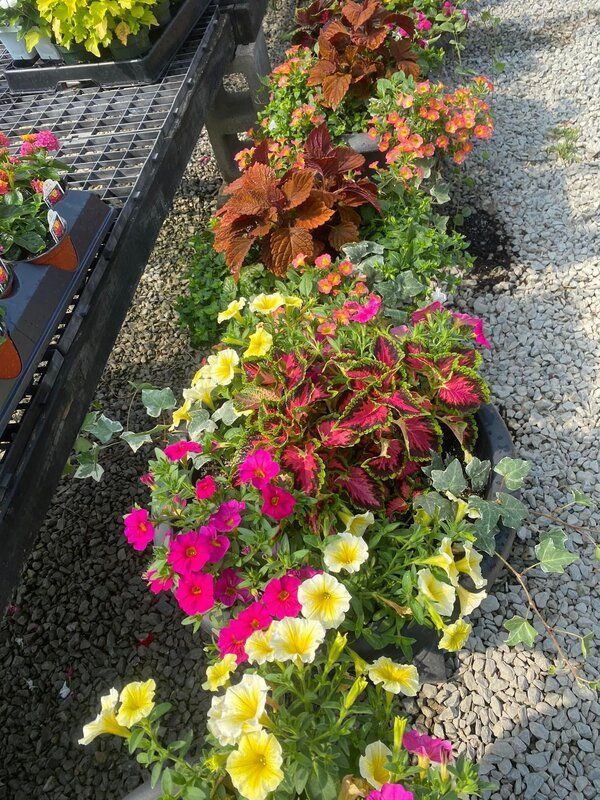 A flower bed with various colorful flowers in front of a metal display rack.