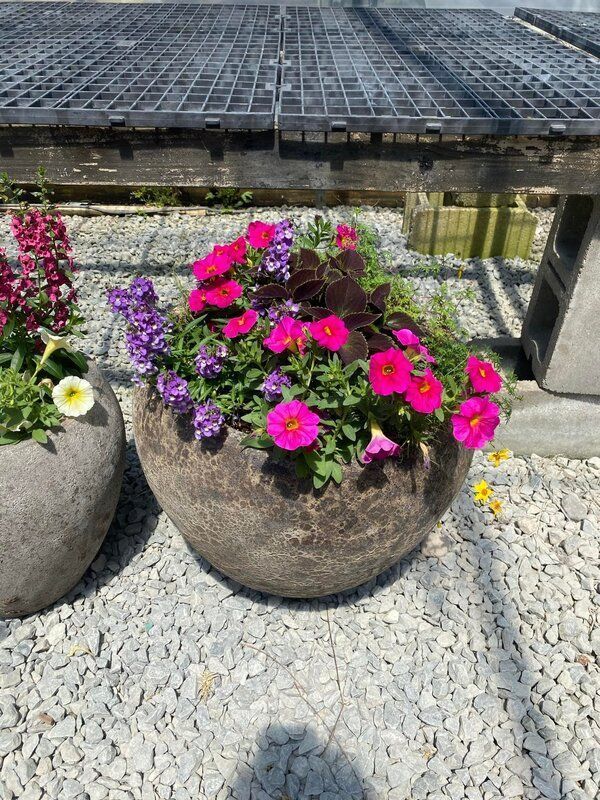 Stone planter with bright pink and purple flowers against a background of solar panels and gravel.