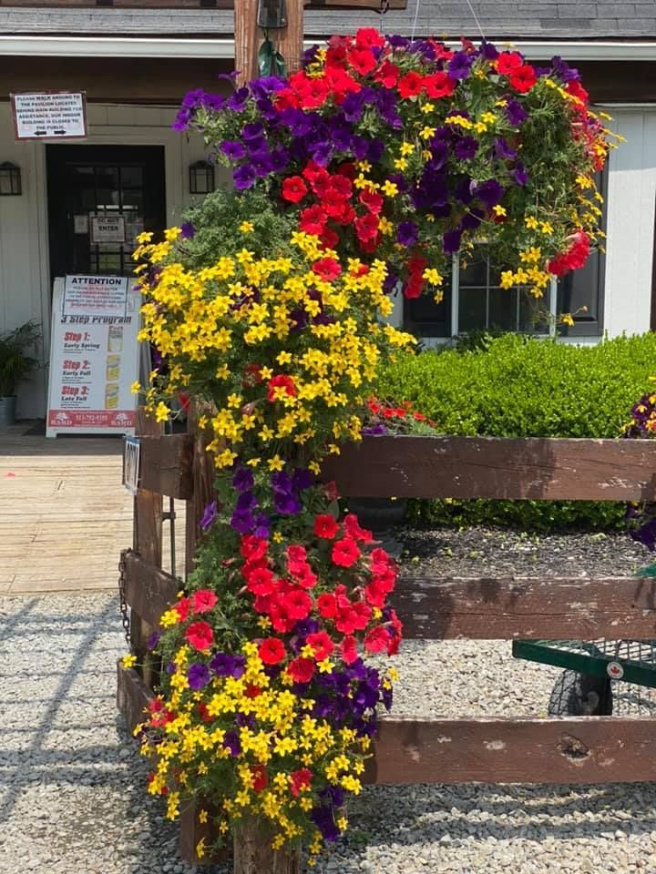 Colorful hanging basket overflowing with red, yellow, and purple flowers on a wooden structure.