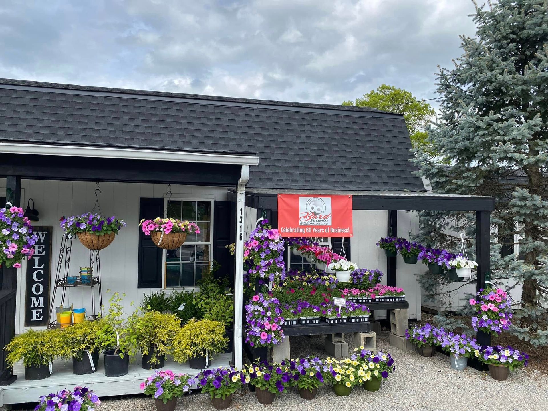 Small white building, black roof, selling flowers in pots and hanging baskets; a sign is displayed.