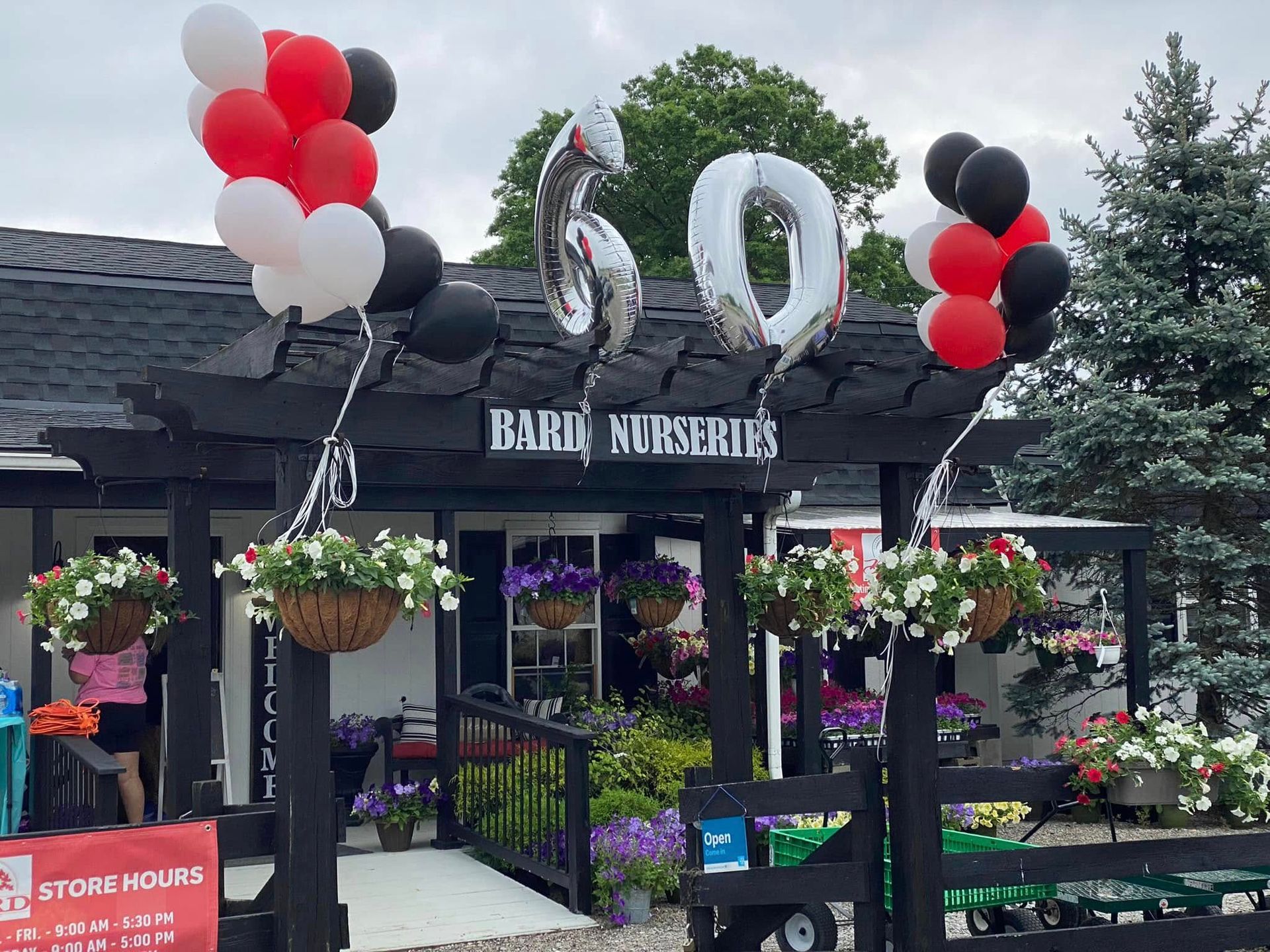 Baru Nurseries' celebrating 60th anniversary with balloons in red, black, and white over its entrance and flowers.
