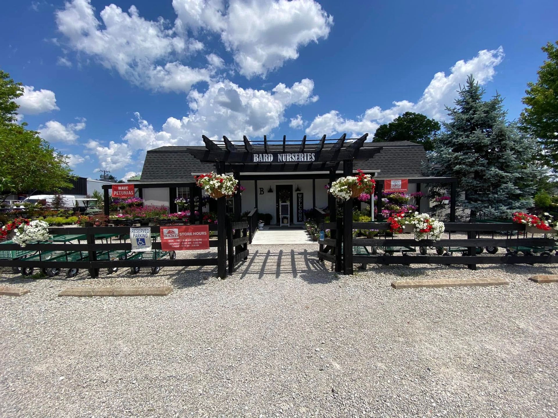 Exterior of a flower shop with black fencing, a trellis, and colorful flowers under a bright blue sky.