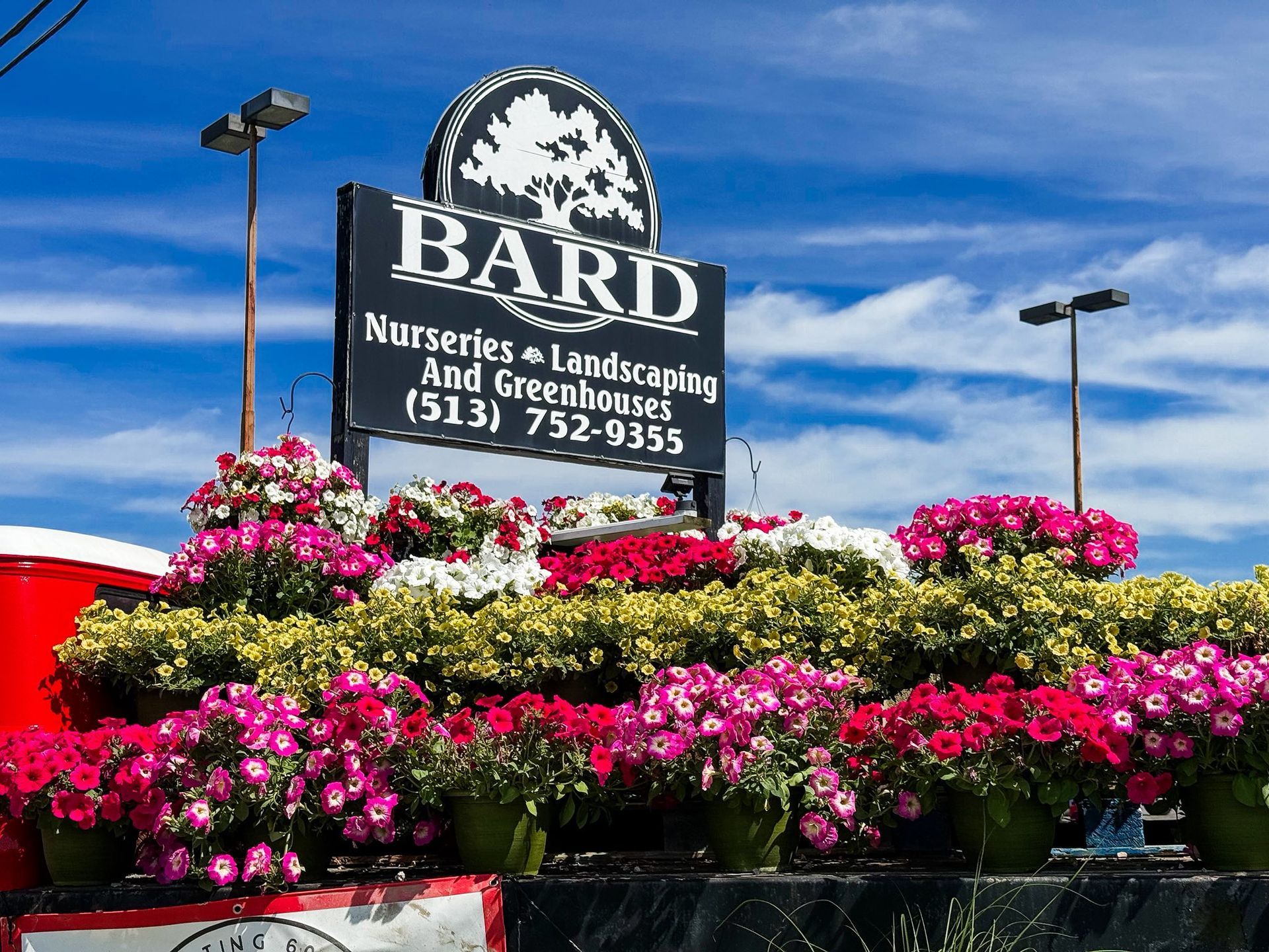 Sign for Bard Nurseries with colorful flower displays.