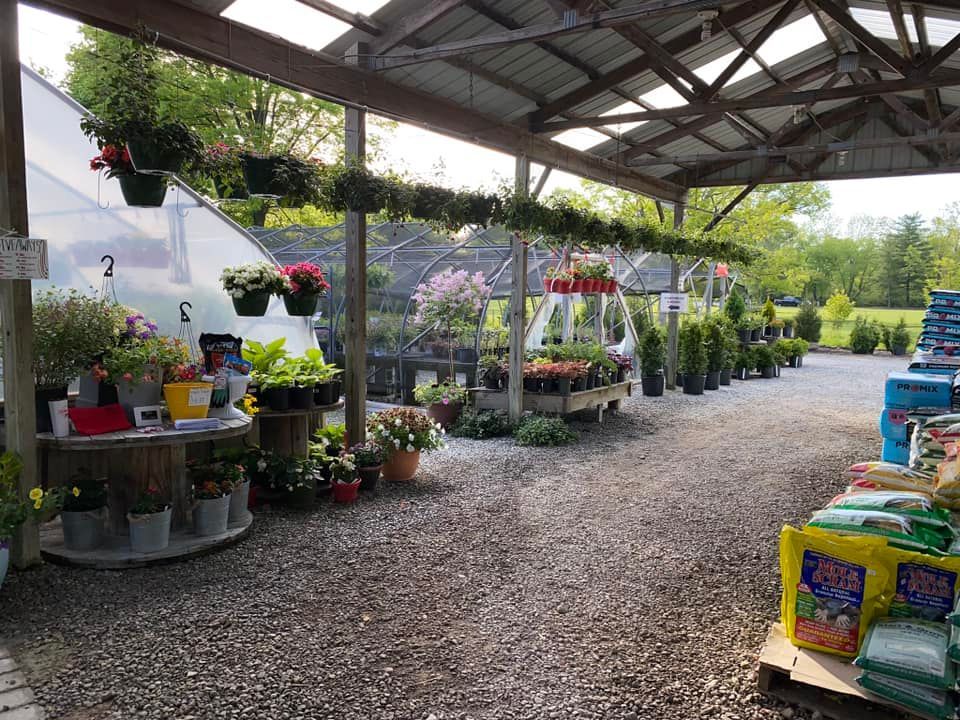Greenhouse interior with plants for sale, gravel floor, and open air roof.