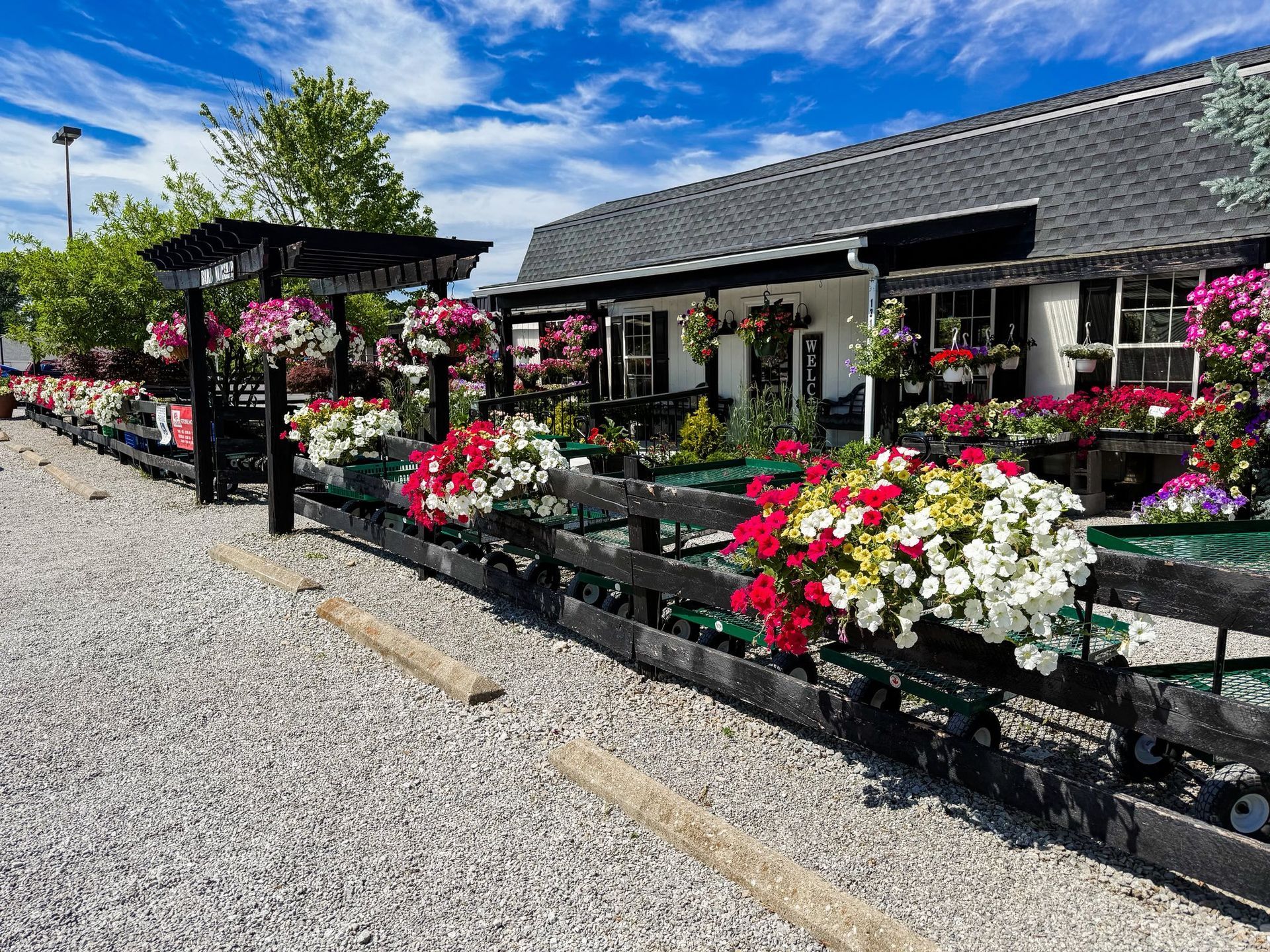 A flower shop with vibrant hanging baskets and planters in front. Sunny day, blue sky.