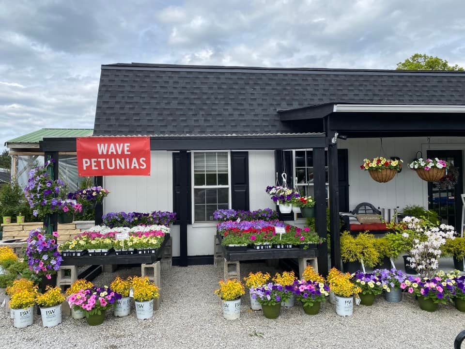 Flower shop with colorful wave petunias, hanging baskets, and potted plants displayed outside under a black-roofed building.