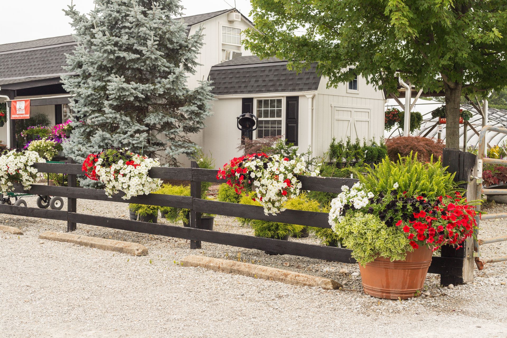 Flowers in pots and planters decorate a black fence in front of a white building with a dark roof.