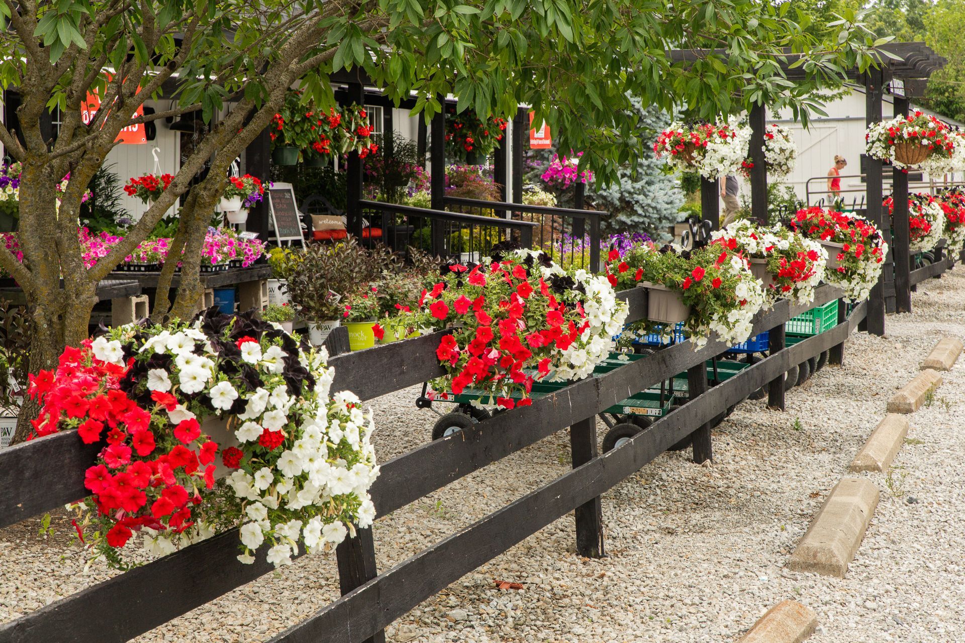 A flower shop with a black fence lined with red and white hanging baskets.
