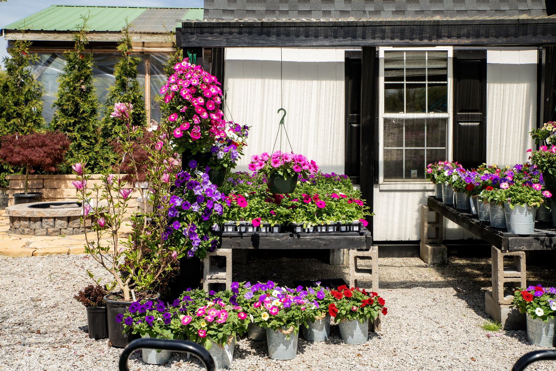 Flowers for sale at a garden center, with pink, purple, and red blooms on display near a white building with black shutters.