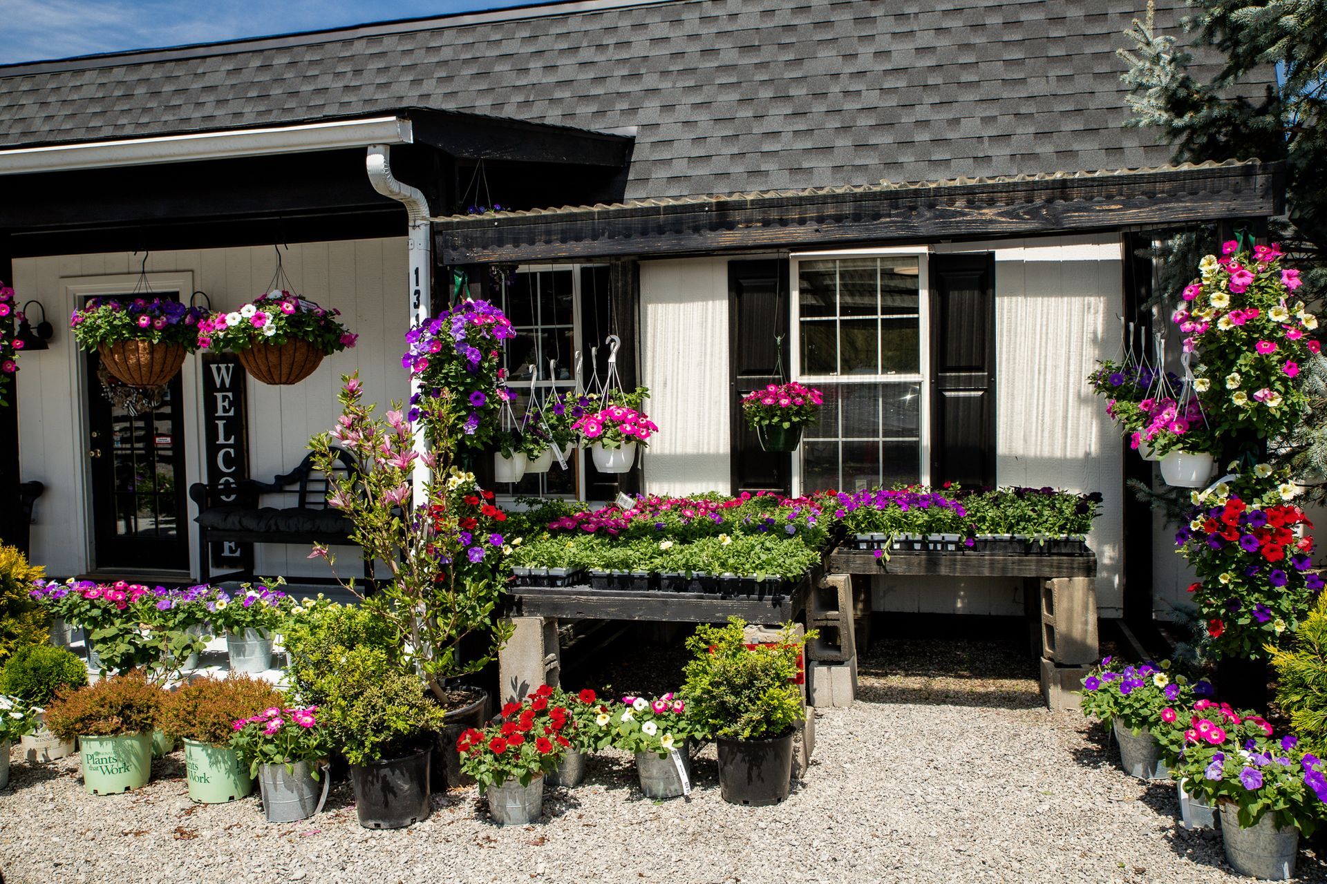 Flower shop exterior with white walls, black trim, and various potted flowers in bloom.