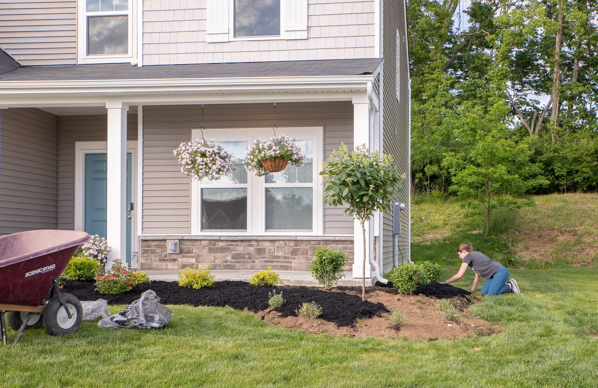 Woman gardening, mulching a flower bed in front of a house with a wheelbarrow nearby.
