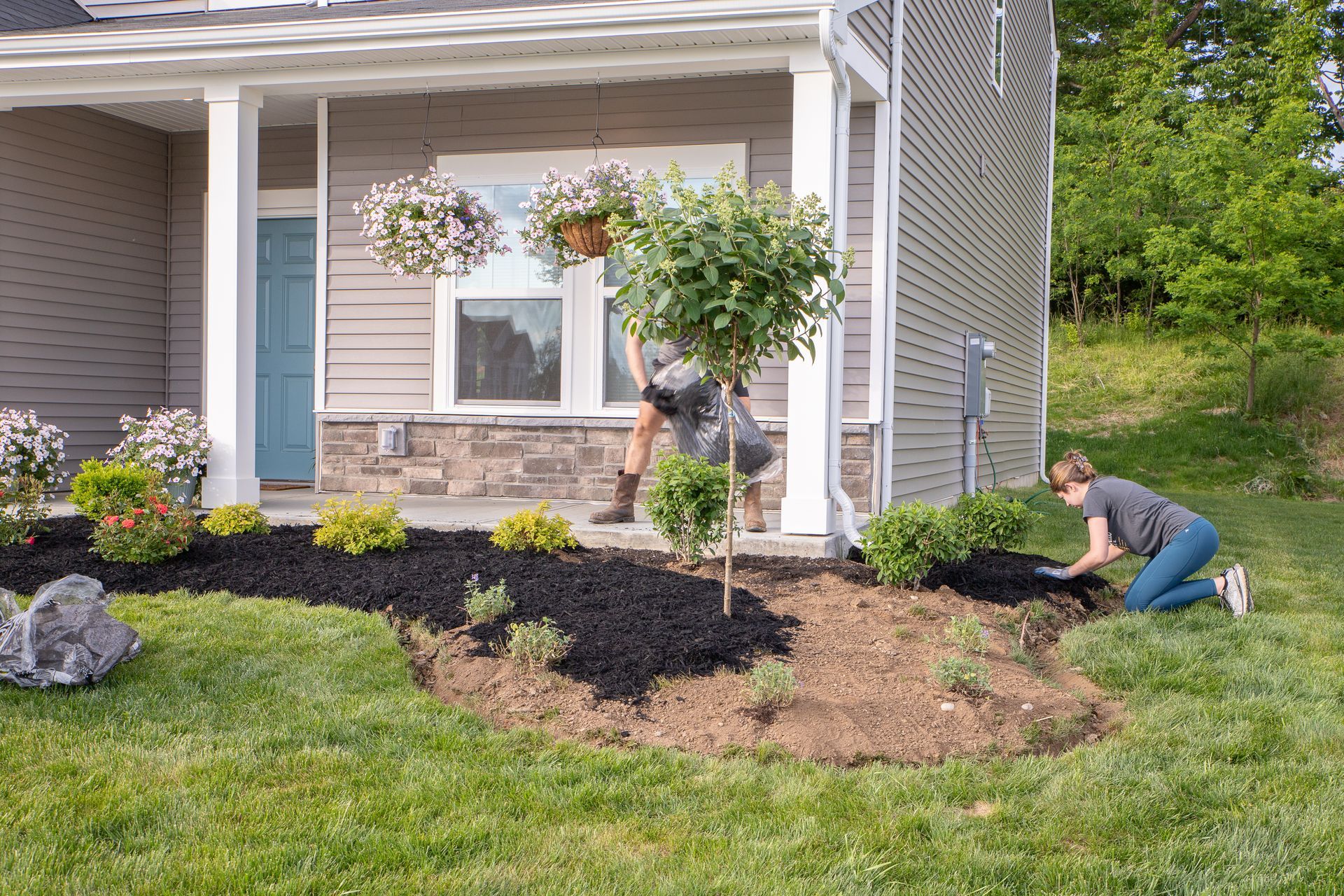 People planting flowers in a front yard flower bed with dark mulch and grass, near a house with hanging flower baskets.