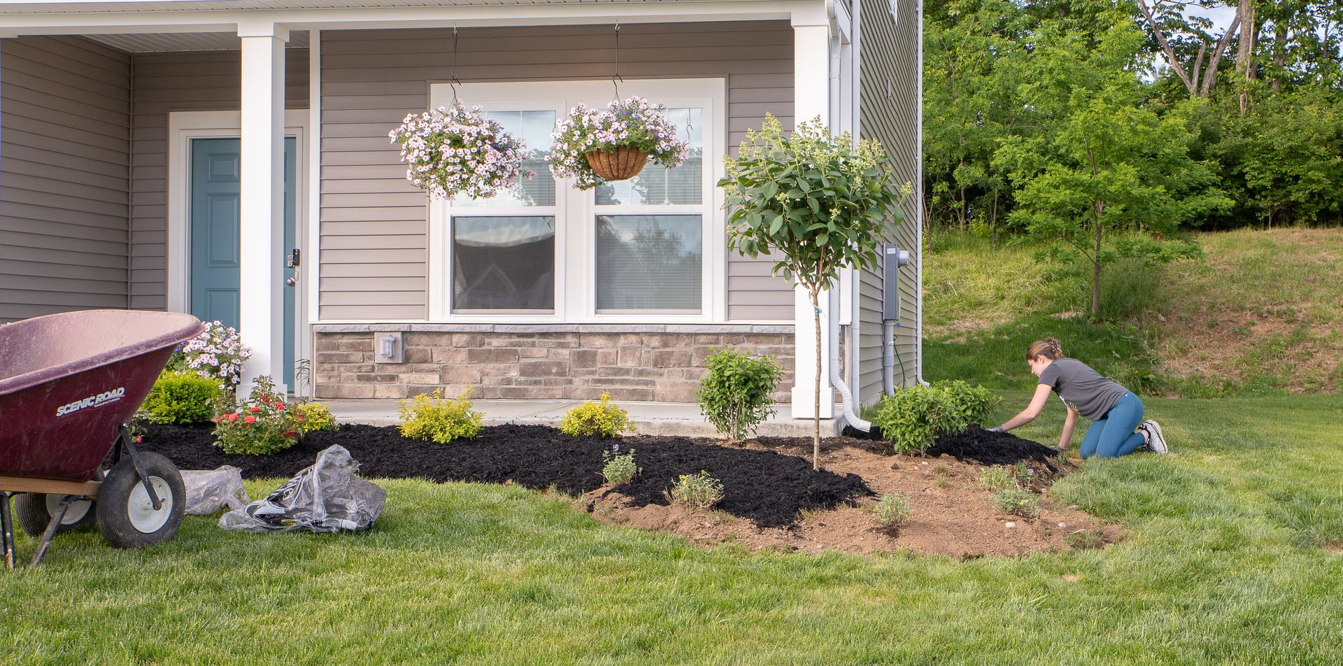 A person gardening in front of a house, mulching a flower bed, wheelbarrow nearby.