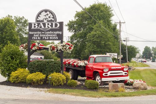 Sign for Bard Nursery & Landscaping with red vintage truck display, flowers.