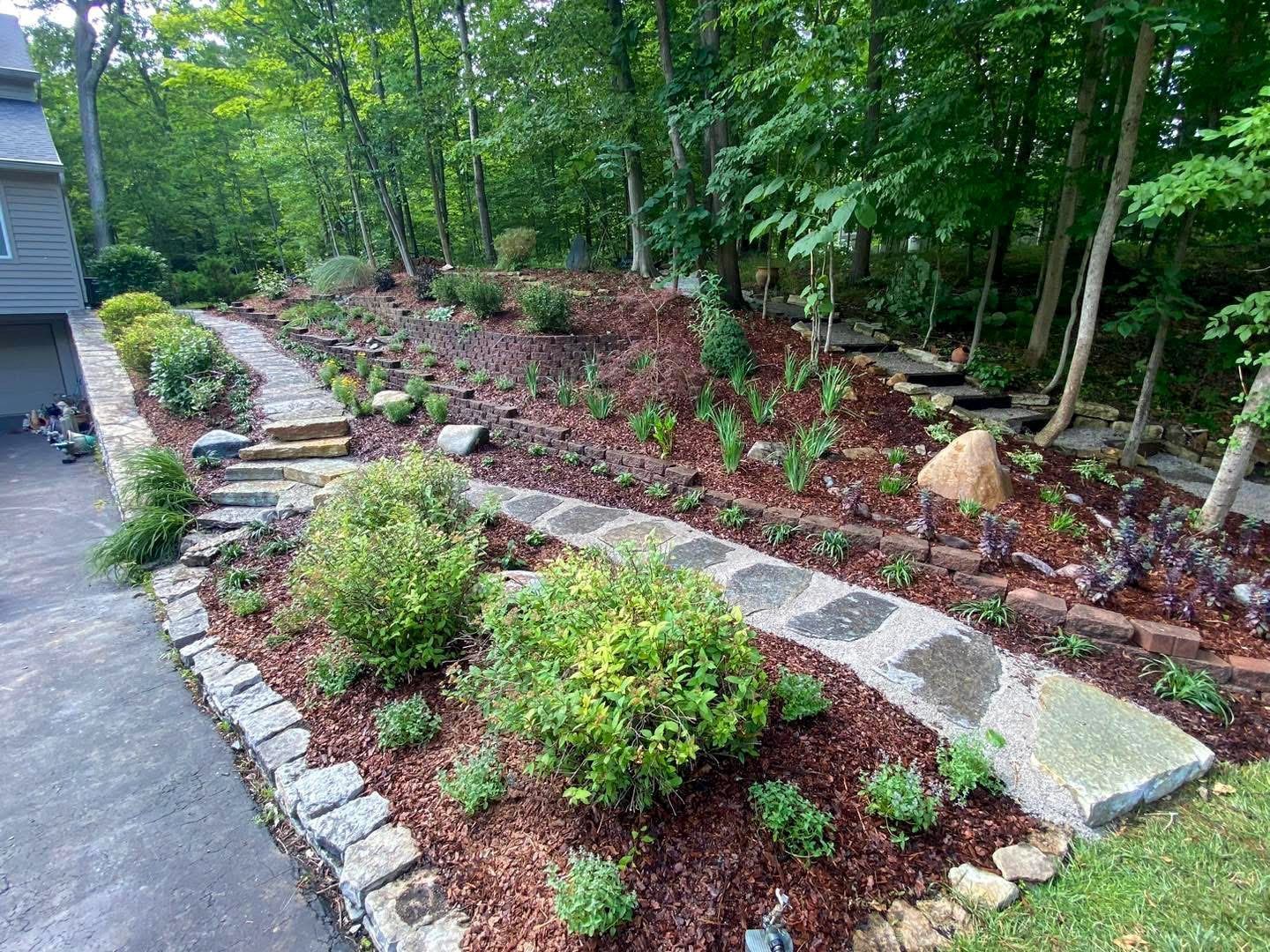 Stone pathway winds through landscaped garden with lush greenery and wood chips.