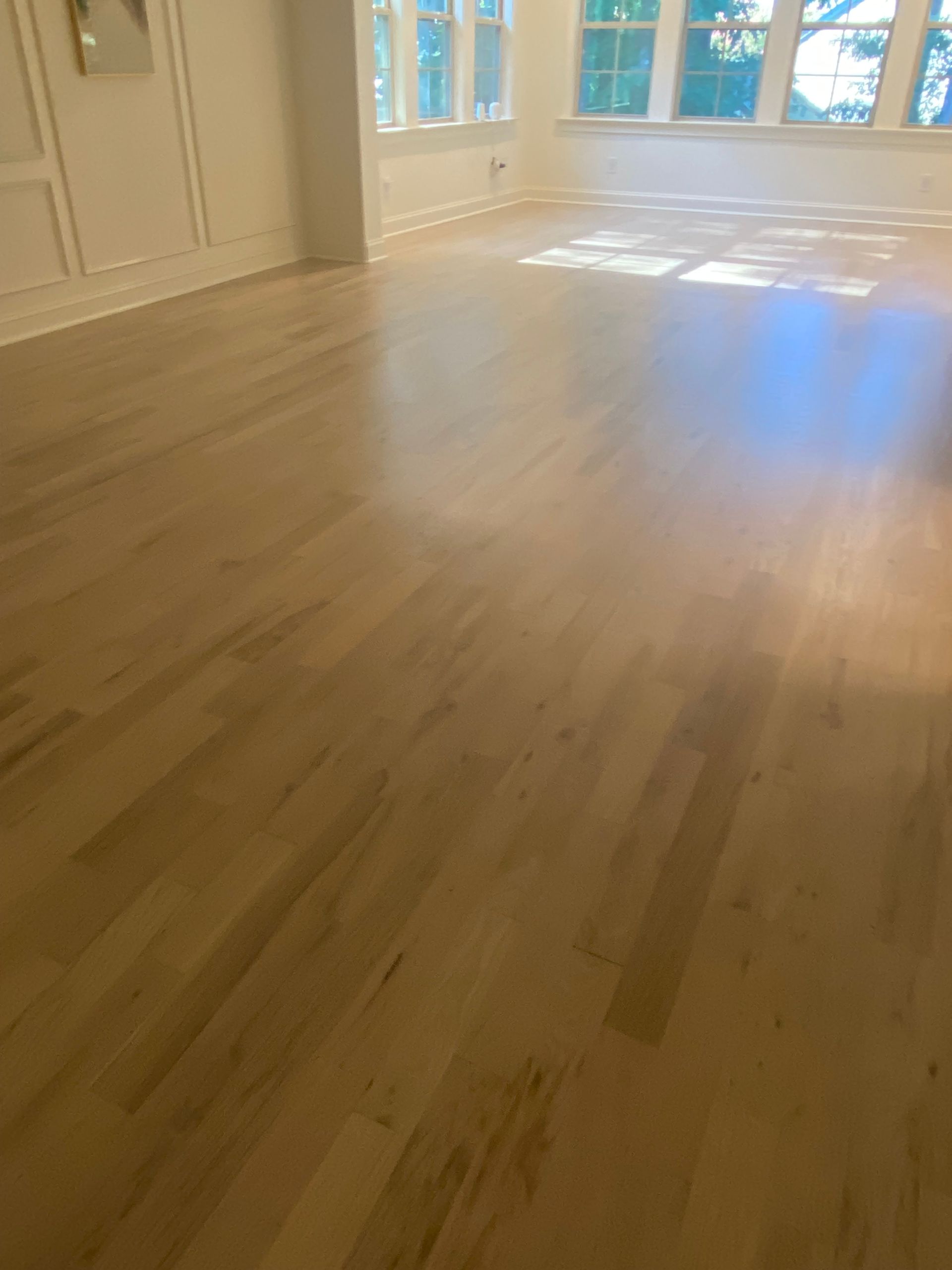 Light-colored hardwood floor in a sunlit room with white trim and large windows.