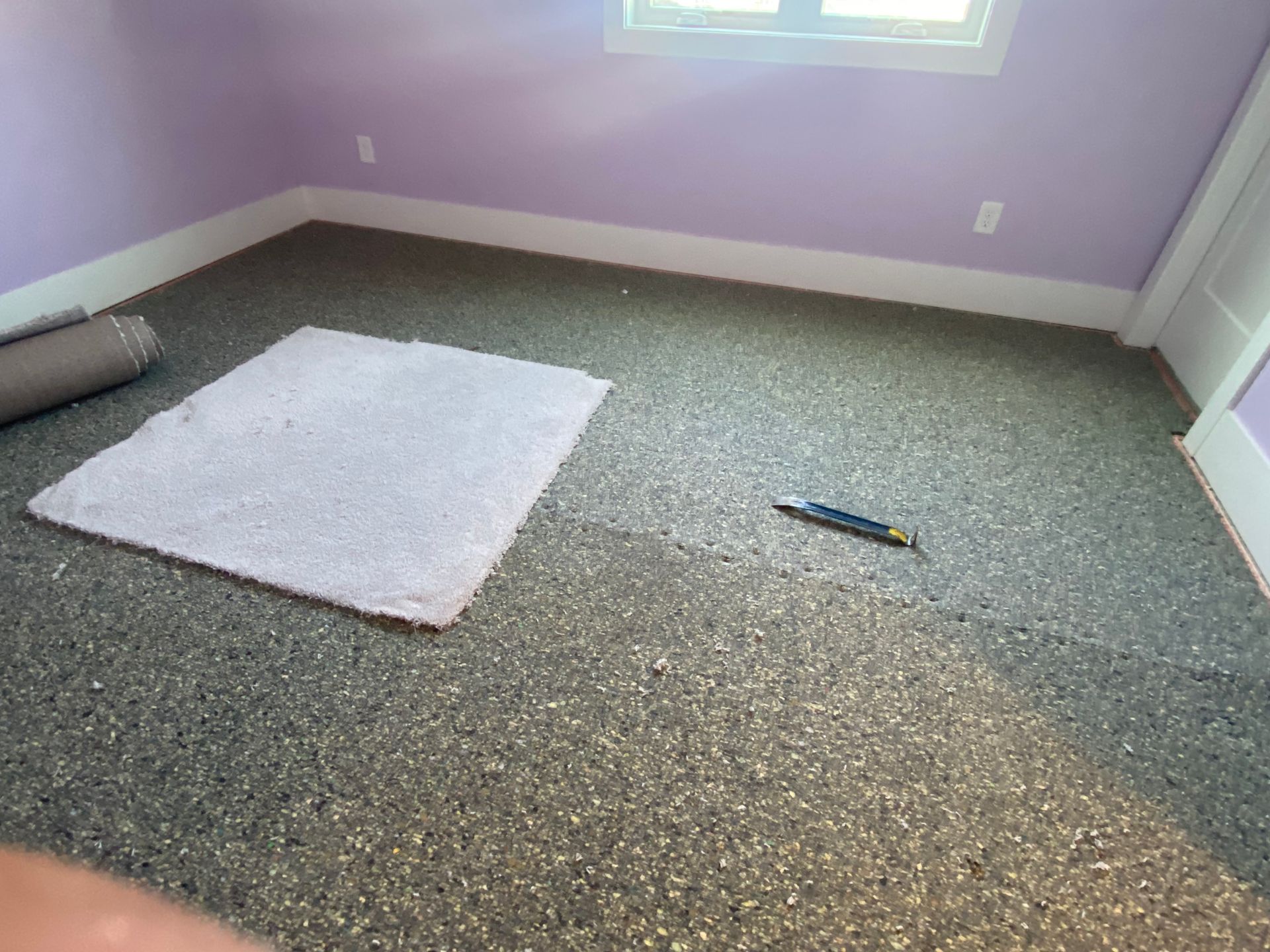 Empty room with lavender walls, gray carpet, a white rug, and a tool on the floor under a window