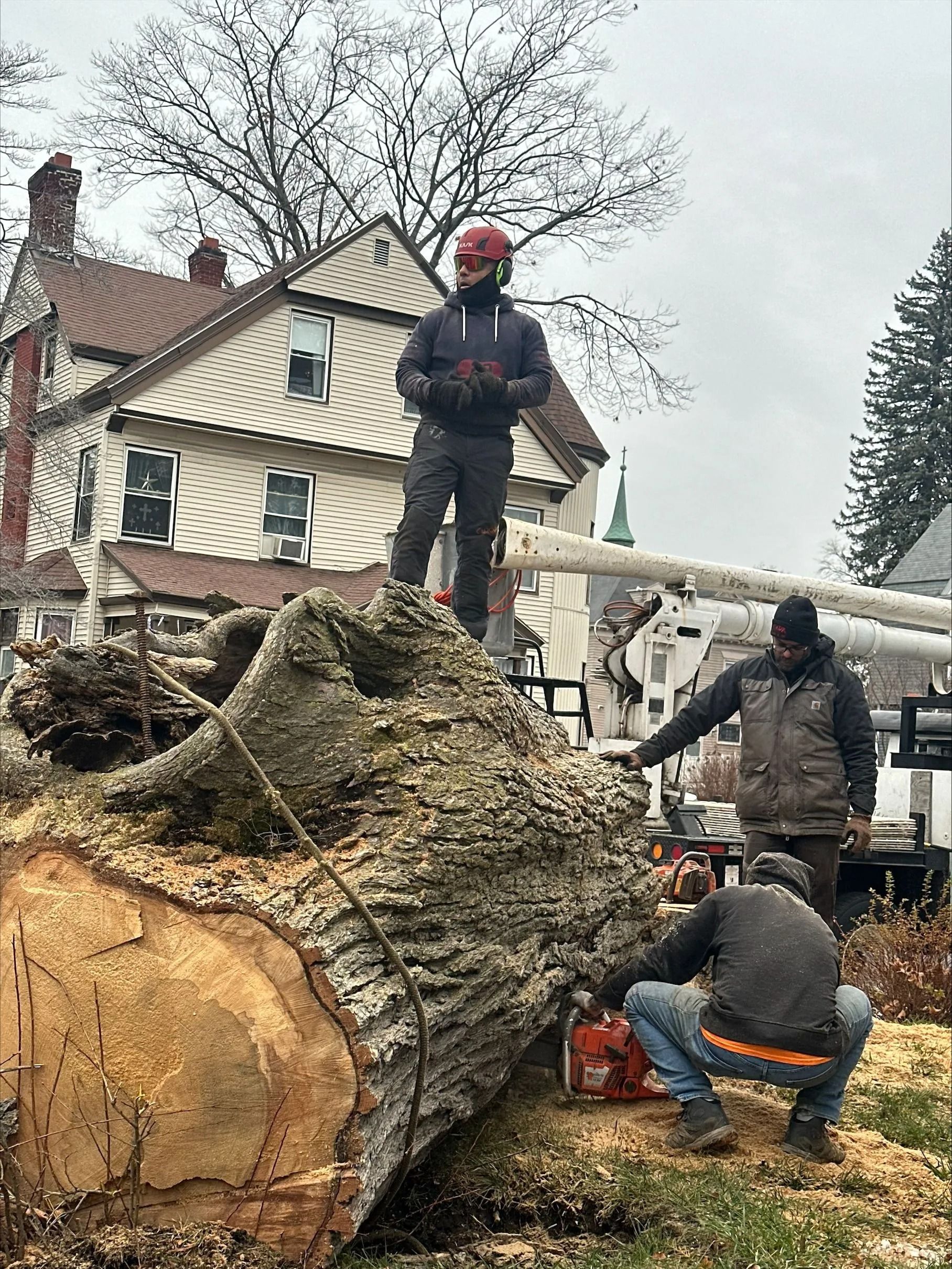 Tree service workers cutting a large log in front of a house. Two workers on the ground, one atop the log. Overcast sky.