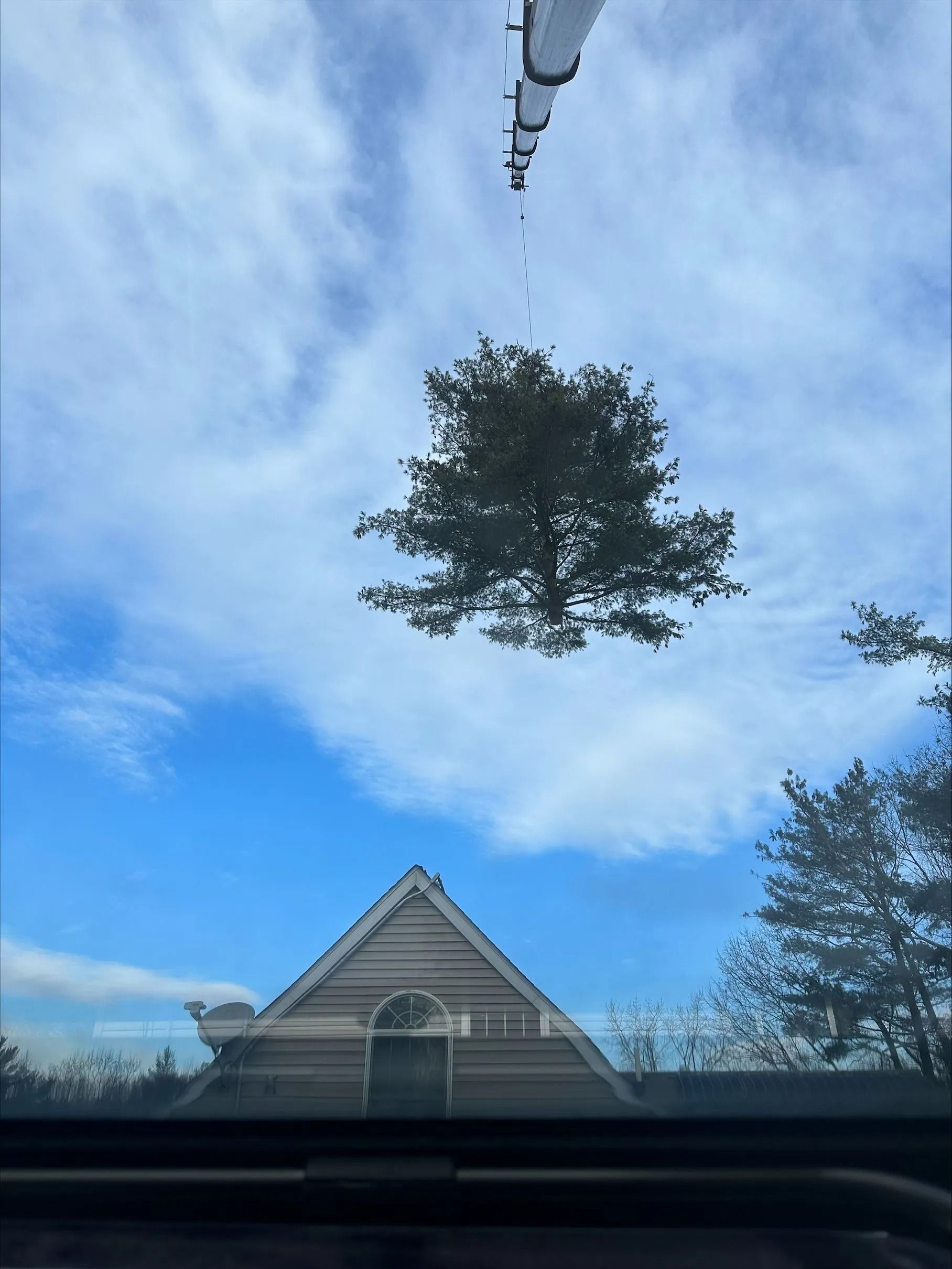 View through a sunroof. Blue sky with tree branches and a white building's roof.