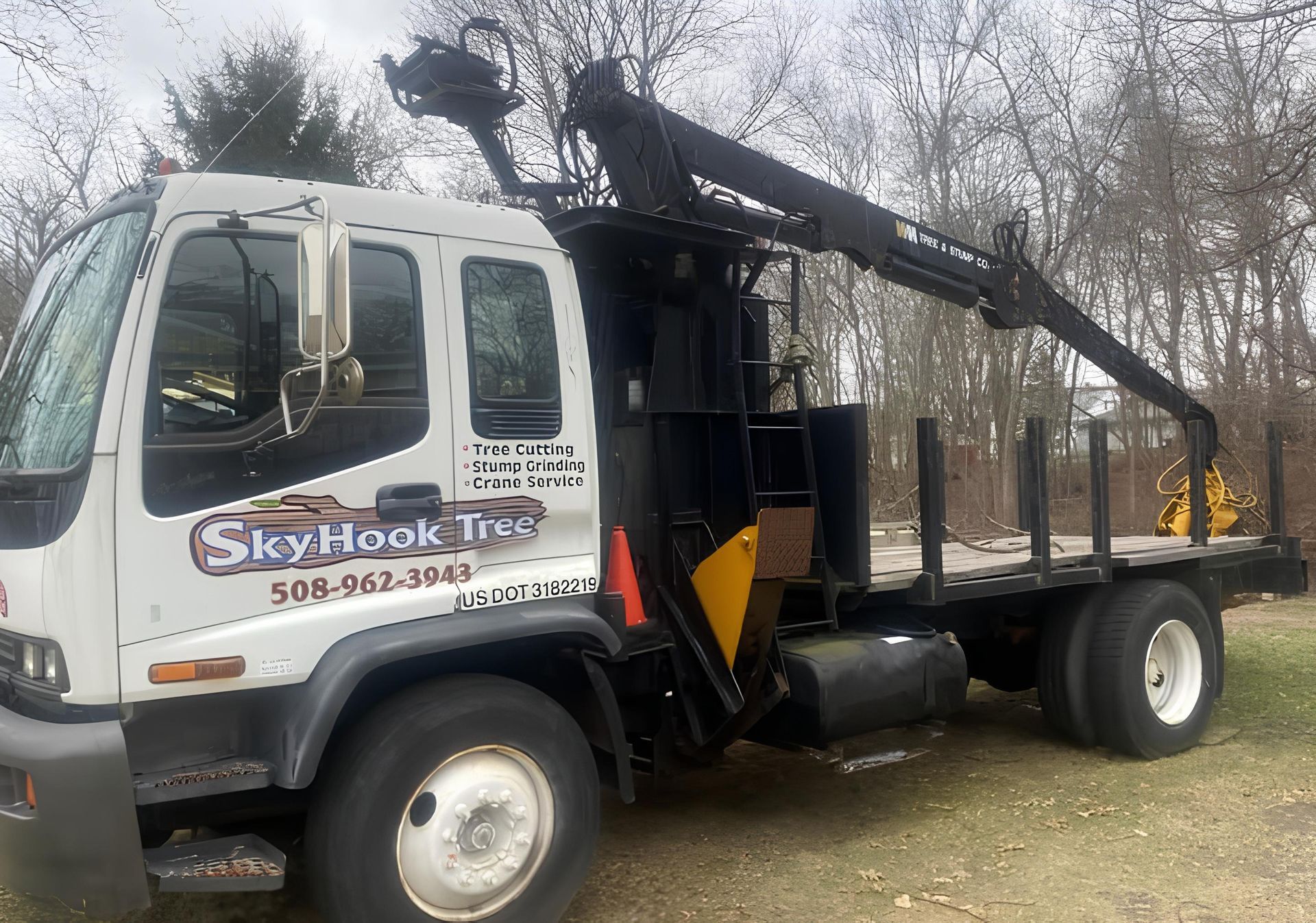 Tree Trimming | Leicester, MA | SkyHook Tree