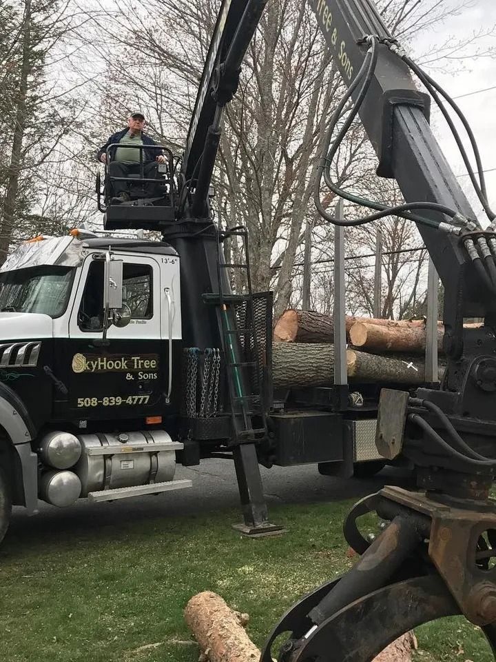 Man in lift operating truck-mounted crane loading logs. Black and white truck. Skyhook Tree & Stump logo. Outdoors.