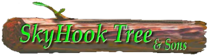 SkyHook Tree & Sons logo, green text on a log with green sprout.