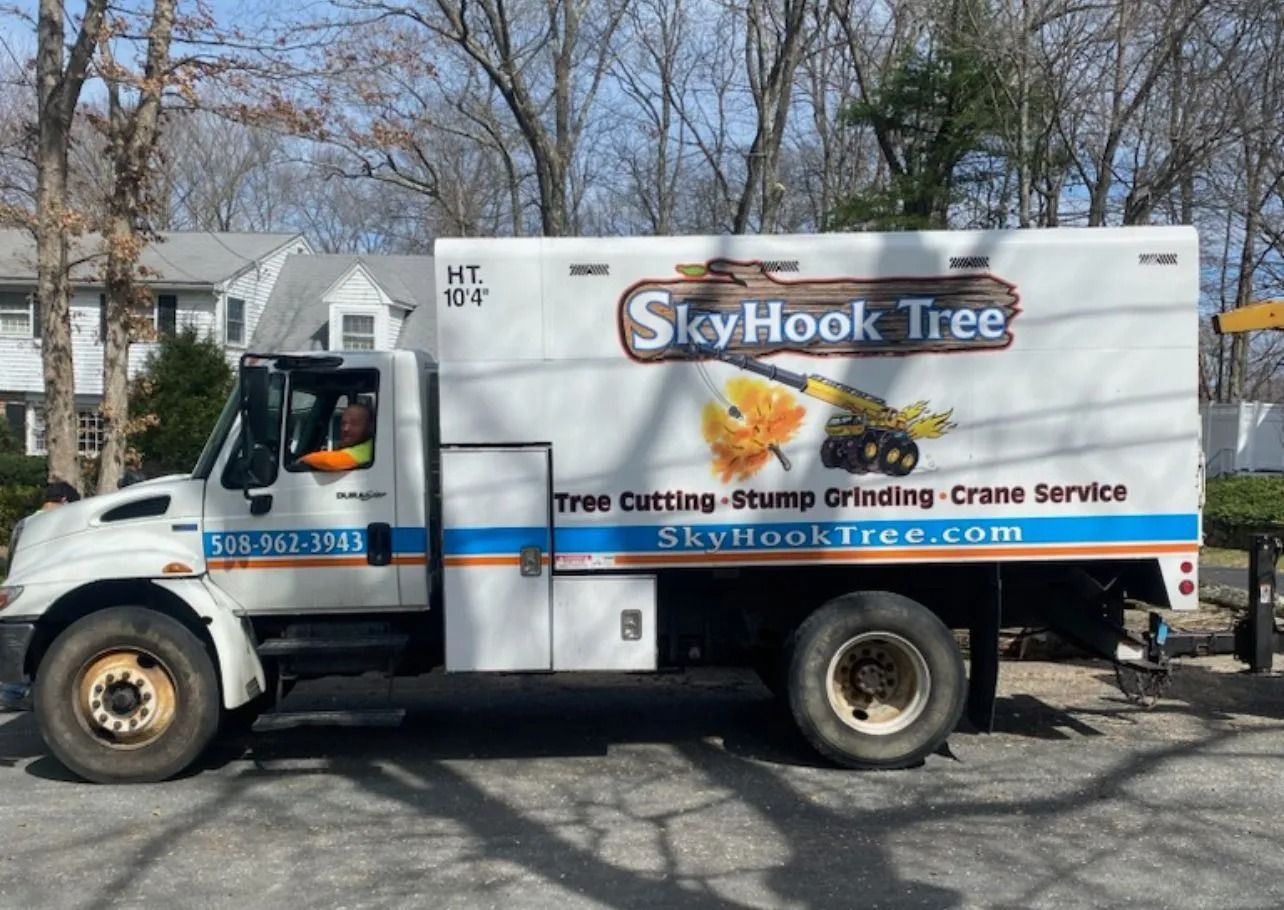 SkyHook Tree service truck parked on a street; white truck with logo, "SkyHook Tree" and service details.