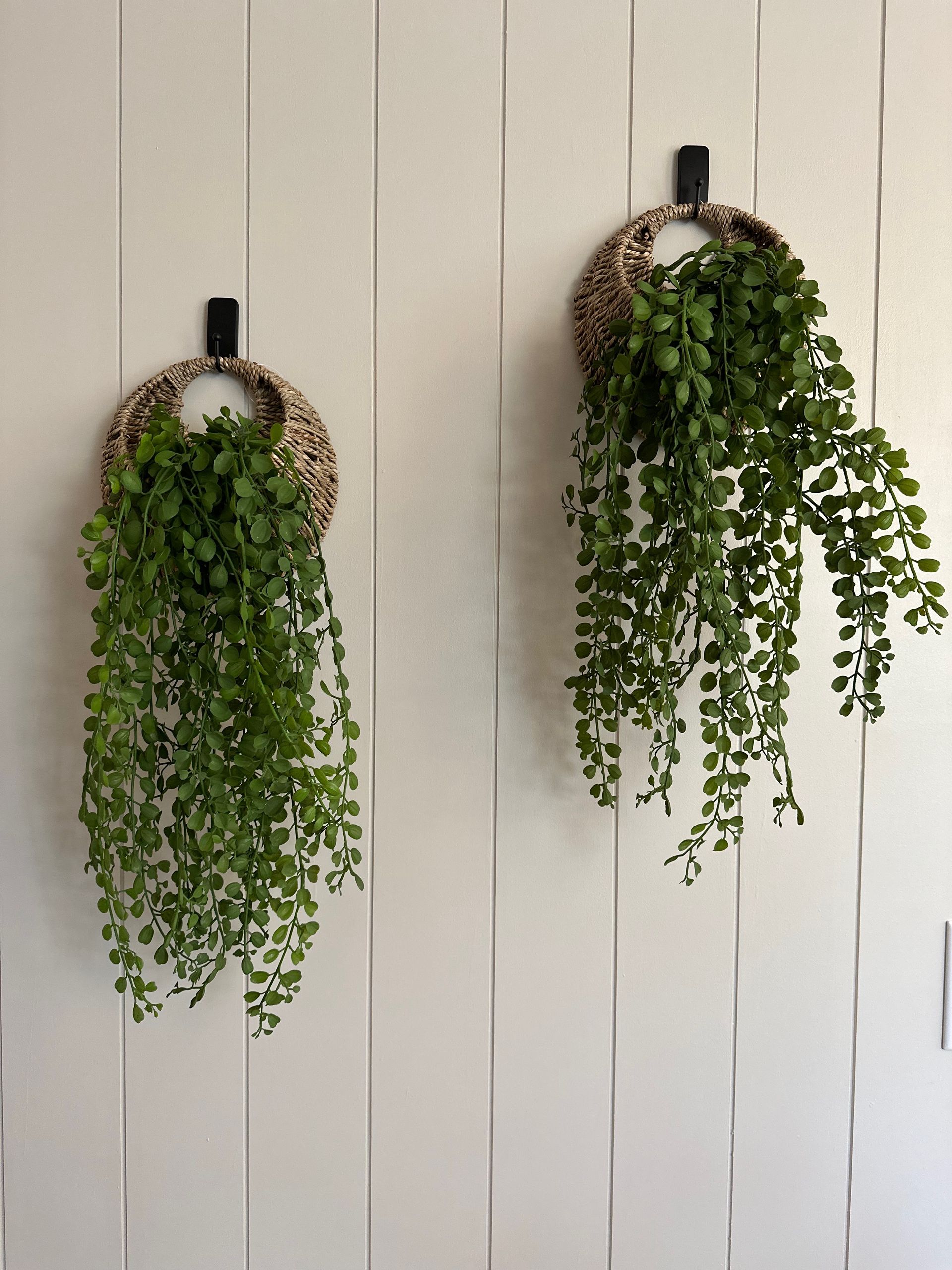 Indianwood Kitchen wall