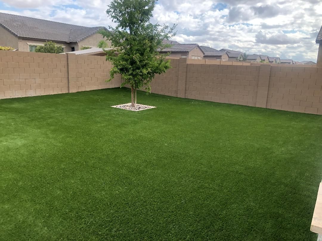 Green artificial lawn with a small tree surrounded by rocks, enclosed by tan walls.