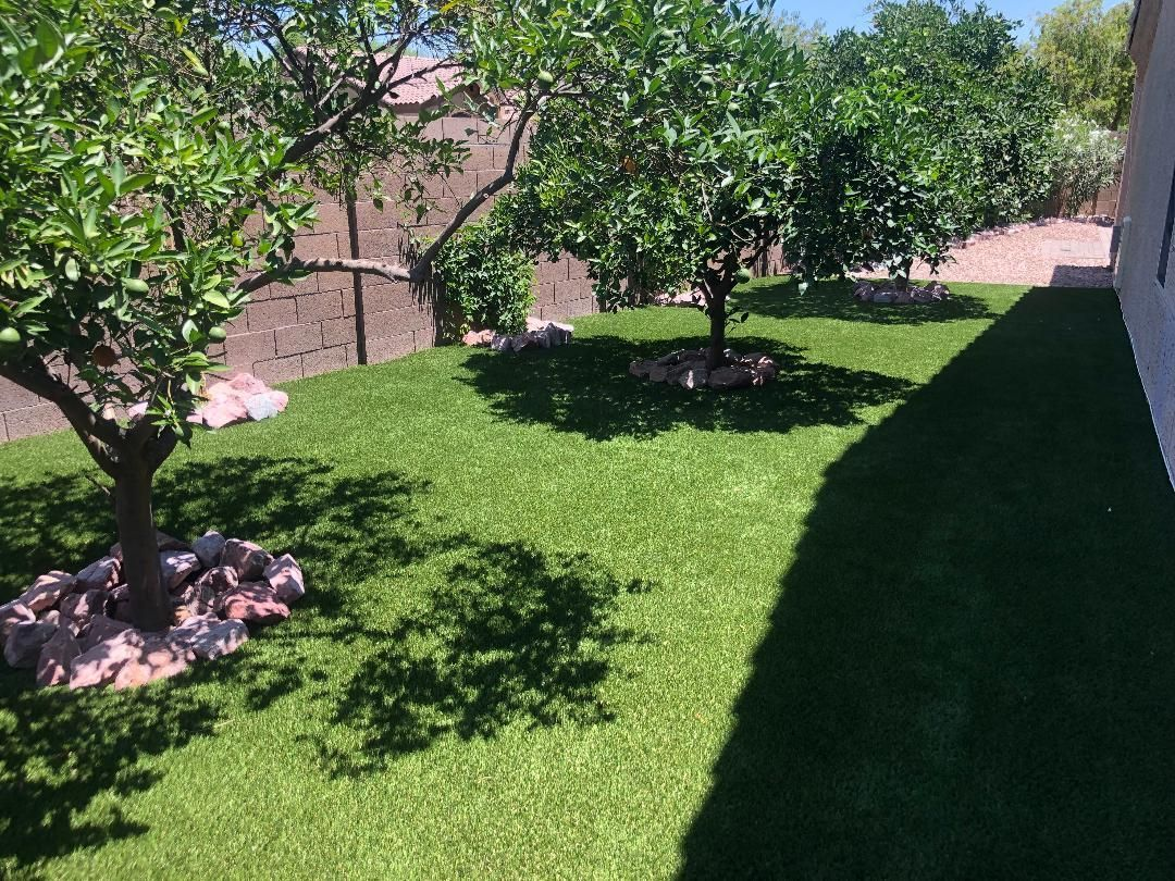 Green lawn with small trees, shadows, and a stone border under a bright sky.