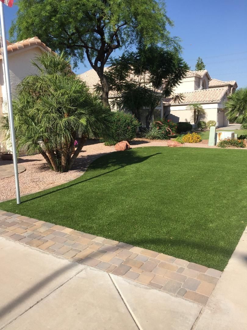 Lush green lawn with brick border in front of a house. Shade tree and bushes. Sunny day.