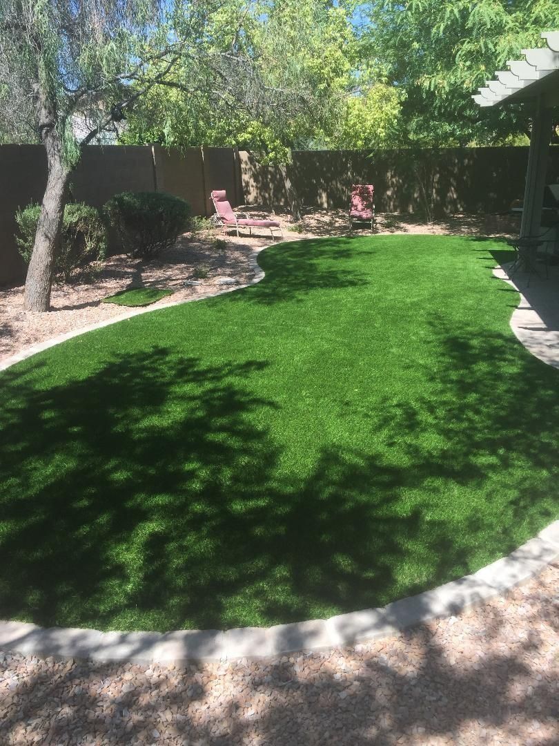 Green artificial grass in a backyard, framed by a concrete border and shaded by a tree.