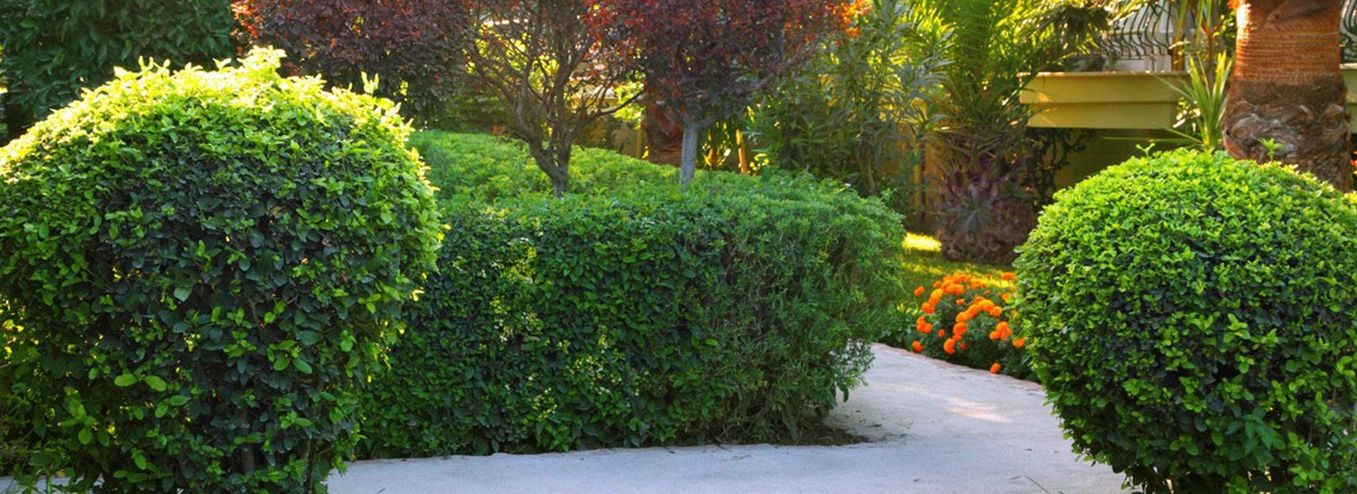 Larry's Tree Service Tree Care Experts Fargo, ND