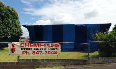 Chemi-Pure Termite & Pest Control Banner