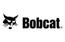 Bobcat