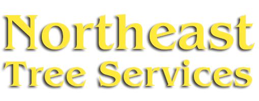 Northeast Tree Service -Logo