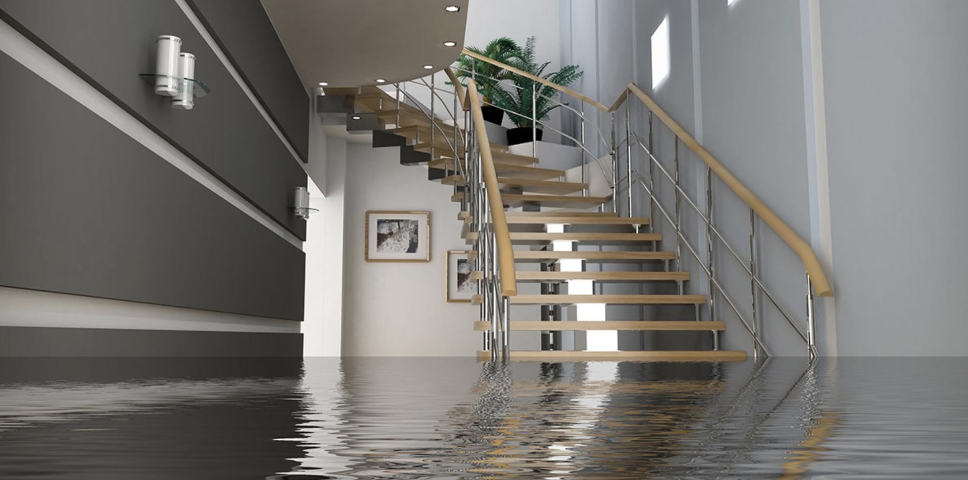Northern Wolf Basement Waterproofing | Sump Pumps | Audubon MN