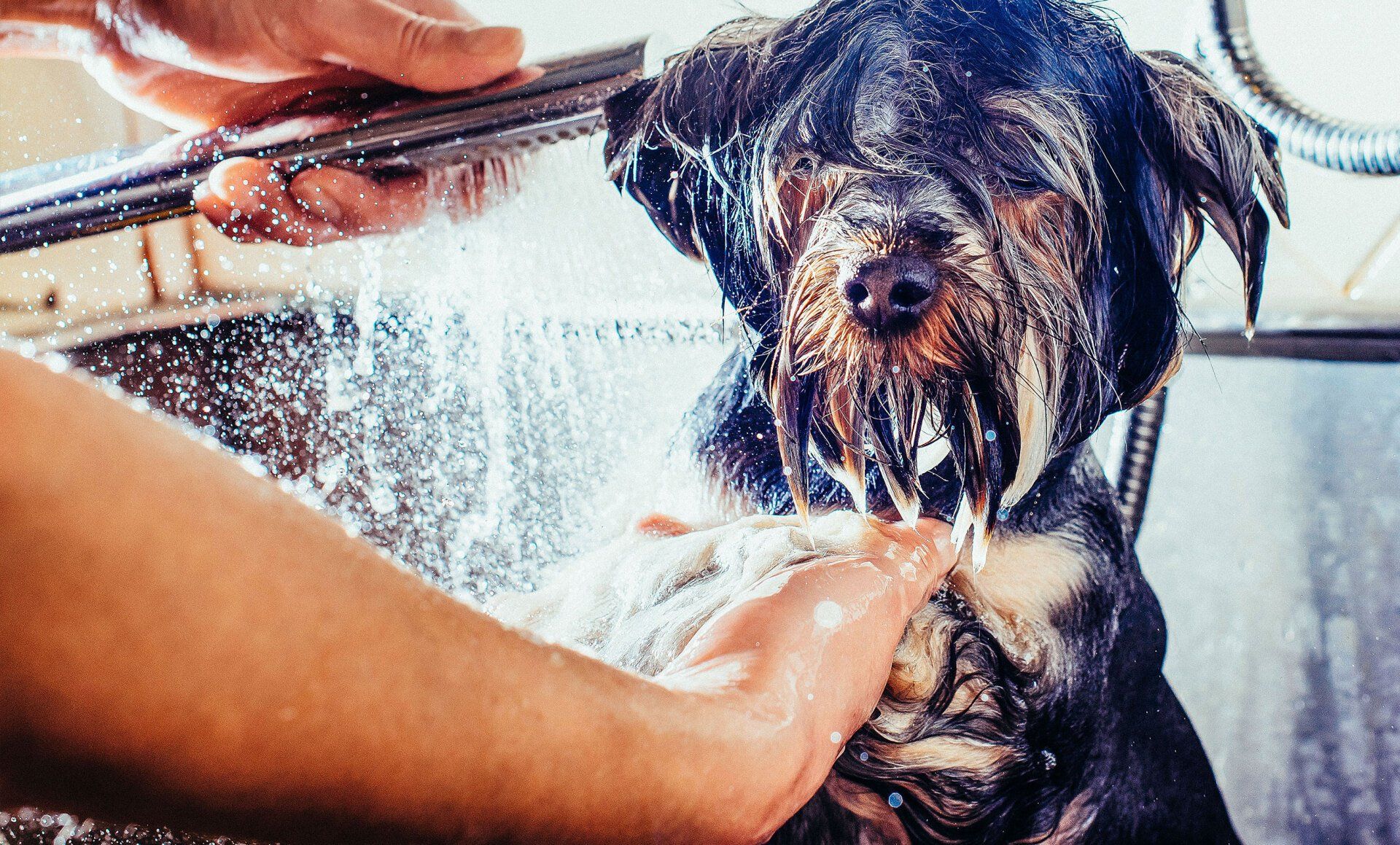 Car Wash Springfield, IL Car Wash City