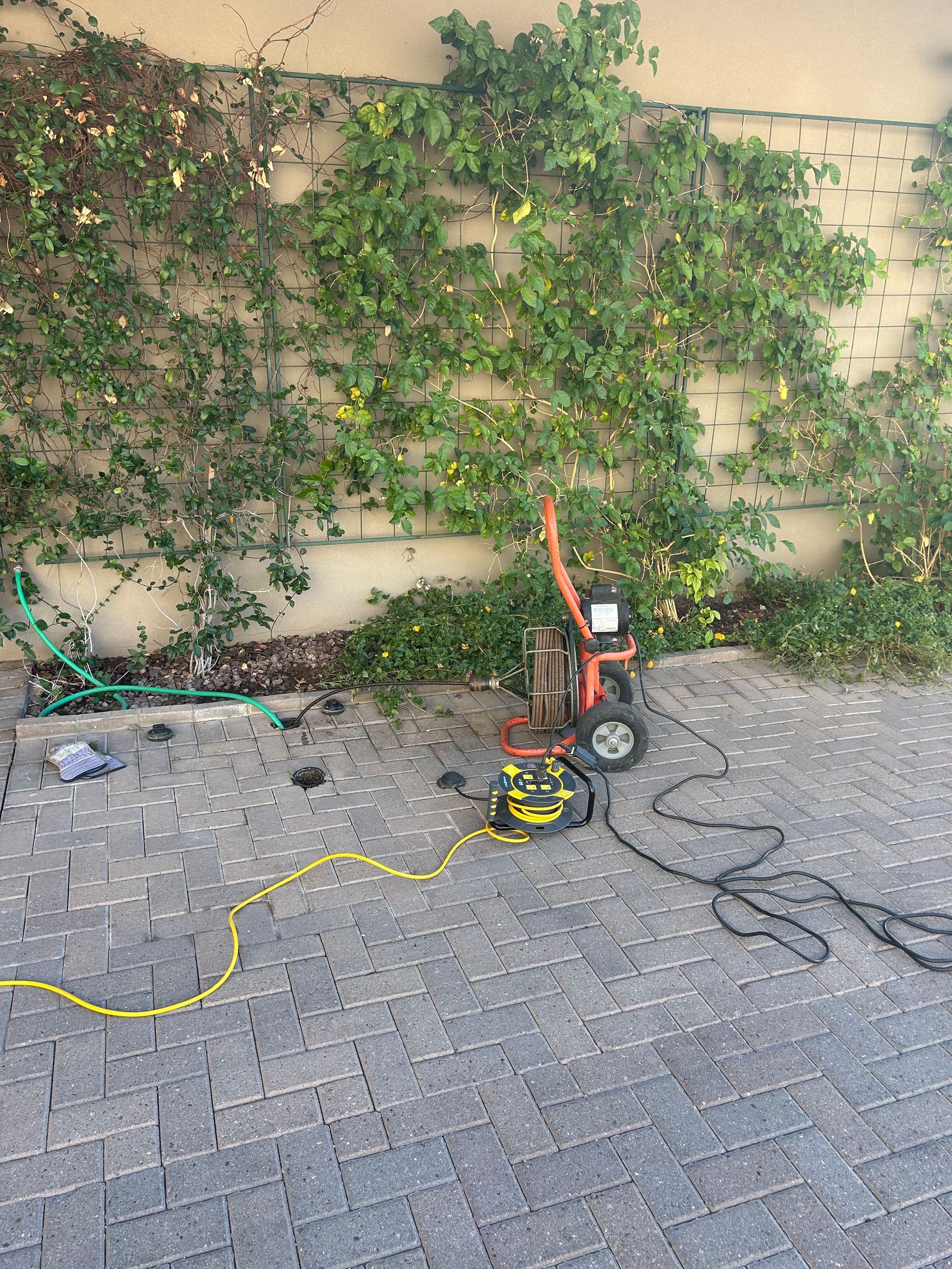 A pressure washer is sitting on a brick driveway next to a hose.