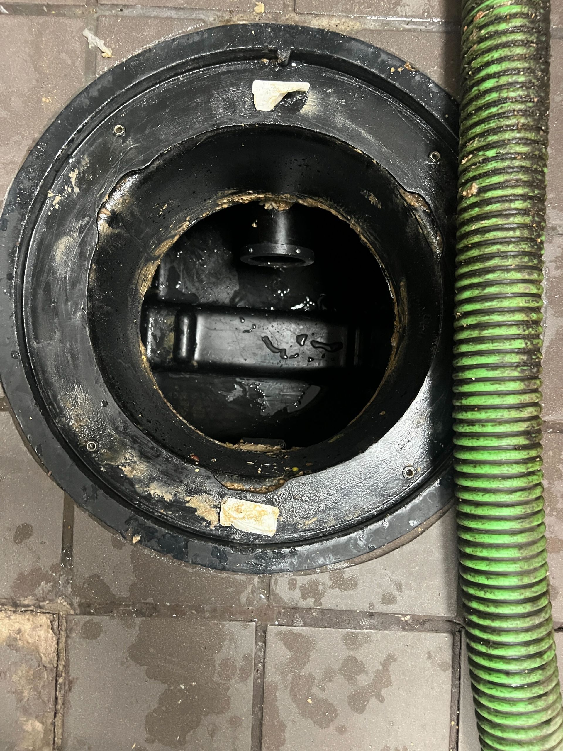 A green hose is sitting next to a black drain on a tiled floor.