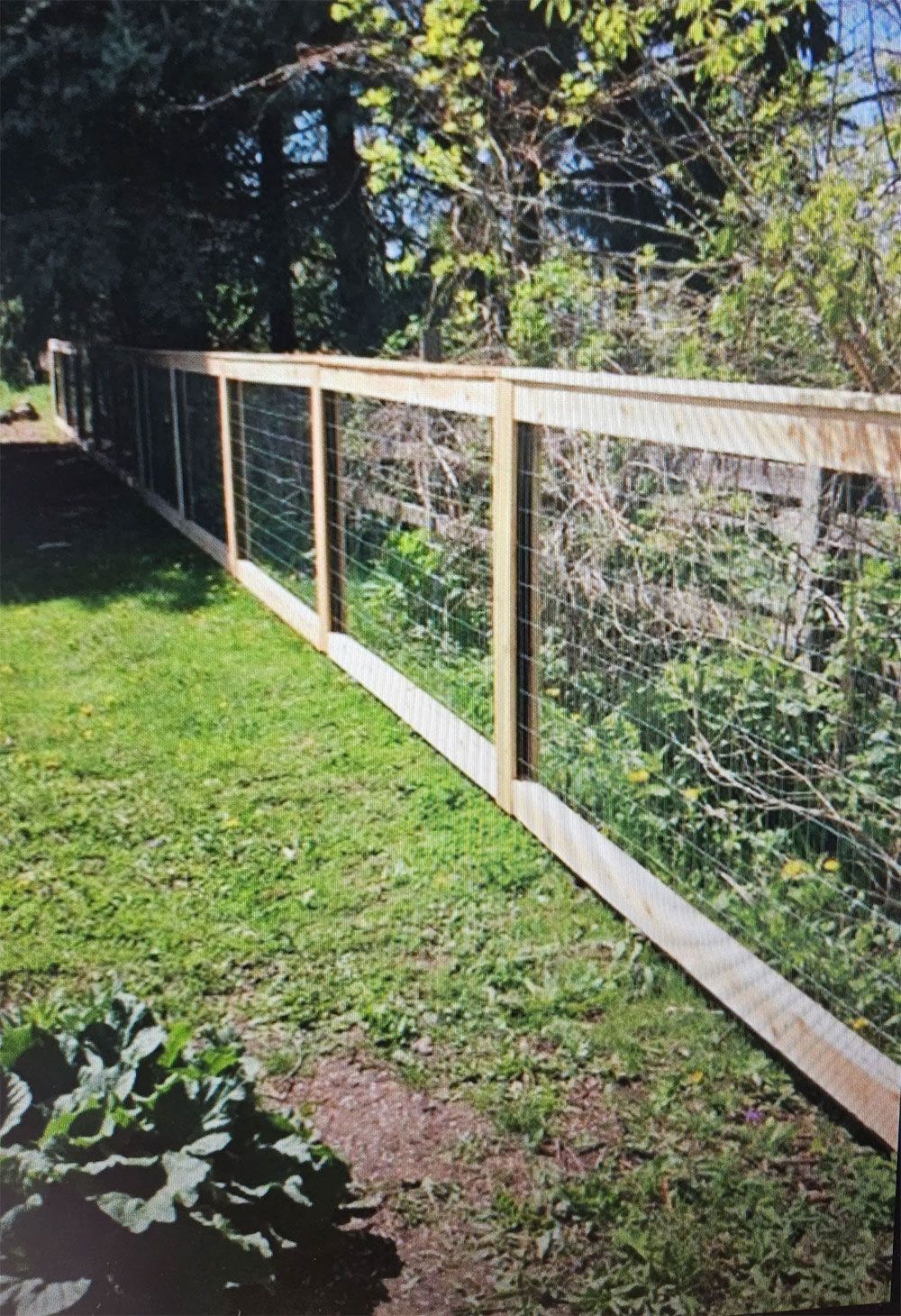 Wooden fence with wire mesh panels in a grassy yard.