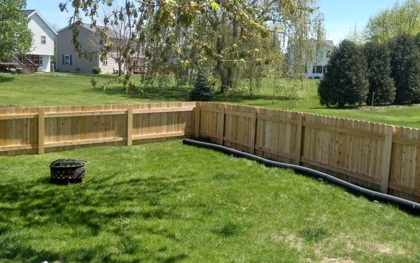 A wooden fence encloses a grassy backyard with trees and houses in the background.