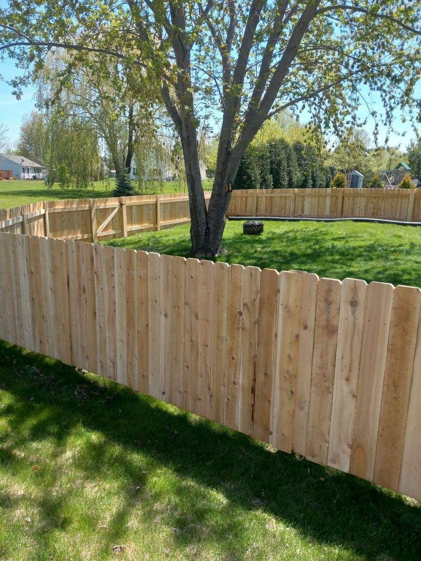 Wooden fence surrounding a grassy yard with a tree in the center under a sunny sky.