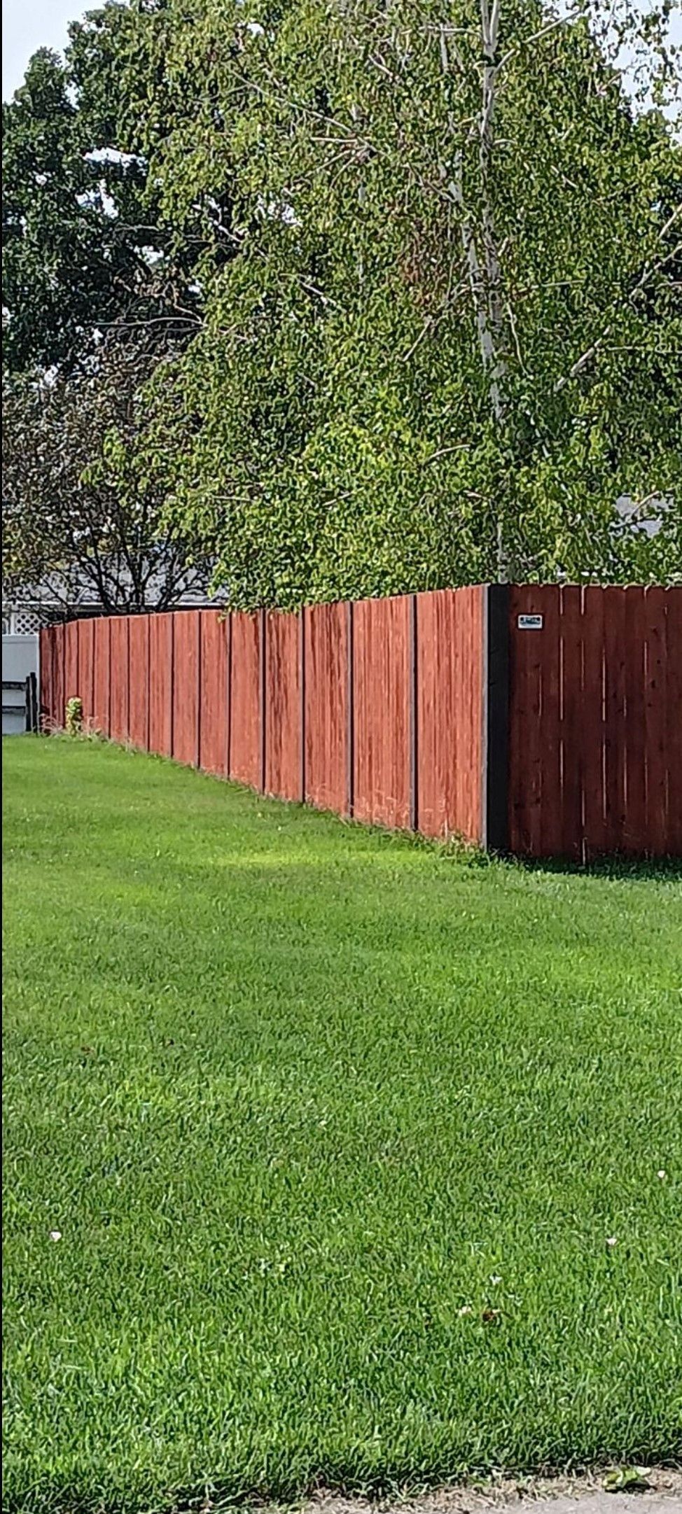 A red wooden fence lines a grassy lawn, with trees in the background.